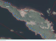 tontit Seimisaaressa