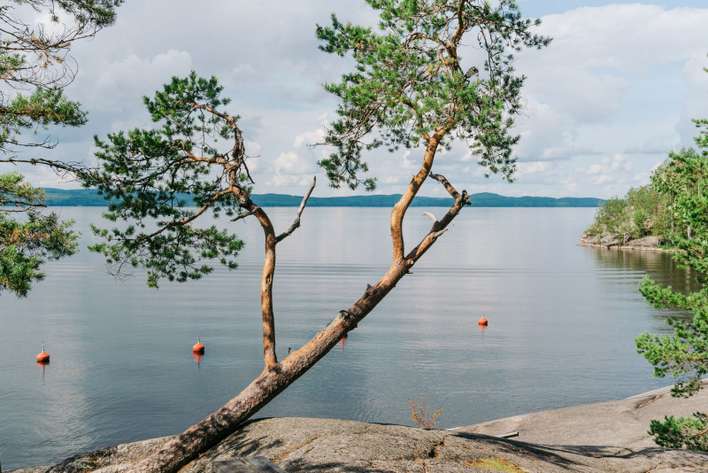 Tontti, 4 045 m², Toivakka - Näkymä 3