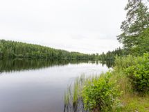 Ranta