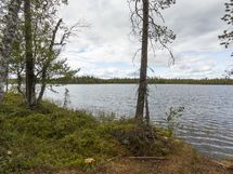 Rovaniemi-Venejärvi