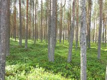 Kemijärvi, Soppela