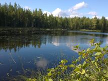 Kuhmo, Iivantiira, Petäjälahti-Kortelahti