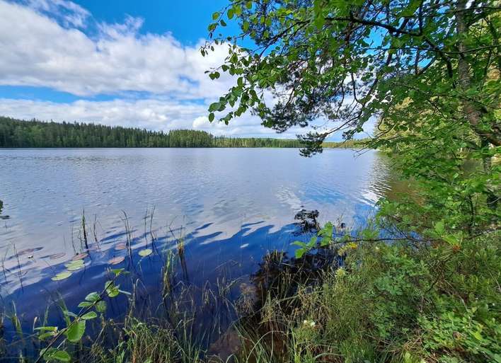Kohdekuva