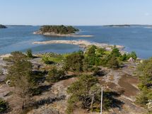 Utterböte eteläkärki