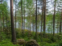 Varkaus, Miehalanjärvi, Sopalanniementie