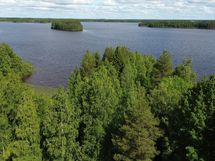 ranta