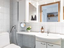 Erillinen wc