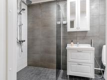 Image delivery from Zentuvo to Linear