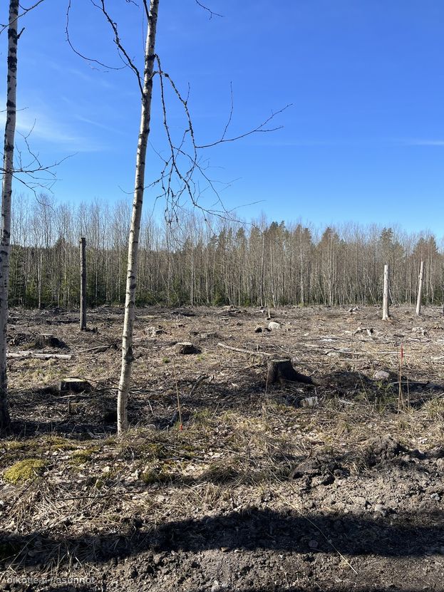 Asuntoilmoituksen kuva