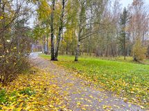 Heti talon takaa alkaa metsäpolku. Alueella useita puistoalueita kuten kuvan Kivipadon puistikko.