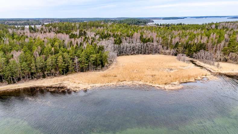 Tontti, 8 000 m², Houtskari, Parainen