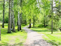 Lähiympäristössä on paljon lenkkeilymahdollisuuksia eikä merenrantaankaan ole pitkä matka