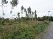 yleiskuvaa alueesta