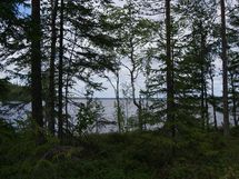 Sonkajärvi, Raudanvesi
