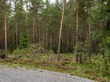 Salo, Särkisalo, Karhumäki