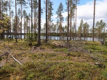 Saarijärvi, Isojärvi