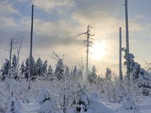 Aurinkovuoren lenkkipolut vieressä