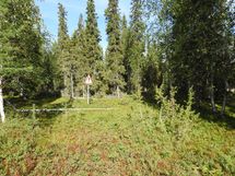 Sodankylä, Luosto