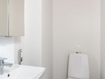 Erillinen wc