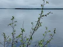 Kajaani, Laakajärvi, Metsäkukantie