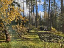 kotitarveviljelykseen myös kasvihuone