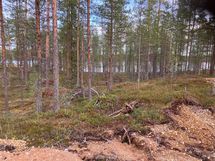 Kortteli 3, tontti 3