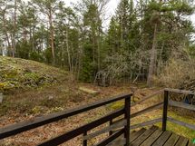 Takapihan terassilta suoraan metsään