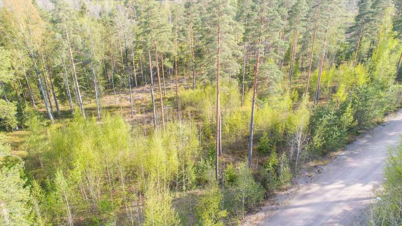Tontti, 1 118 m², Mustio - Näkymä 3