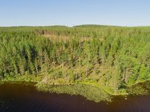 Kaavi, Rikkavesi, Luikonlahti