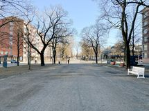 Hämeenpuistoon  on  yhden korttelin kävelymatka.