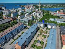 Piha ja ympäristö kesällä