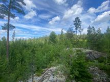 Lemmoonkallio on 11 hehtaarin kokoinen kallioalue kiinteistön takana