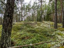 Salo, Särkisalo, Karhumäki