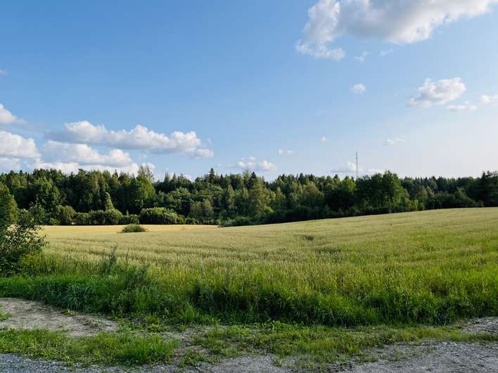 Tontti, 5 000 m², Hirviniemi