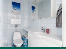 Erillinen wc
