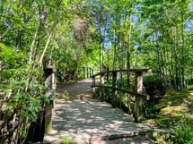 Alueella on monipuoliset ulkoilumaastot. Kuvassa ihana metsäpolku Laturinkalliolla.