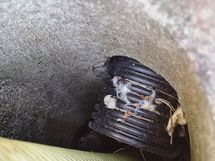 Sadeveden ohjaus pois 