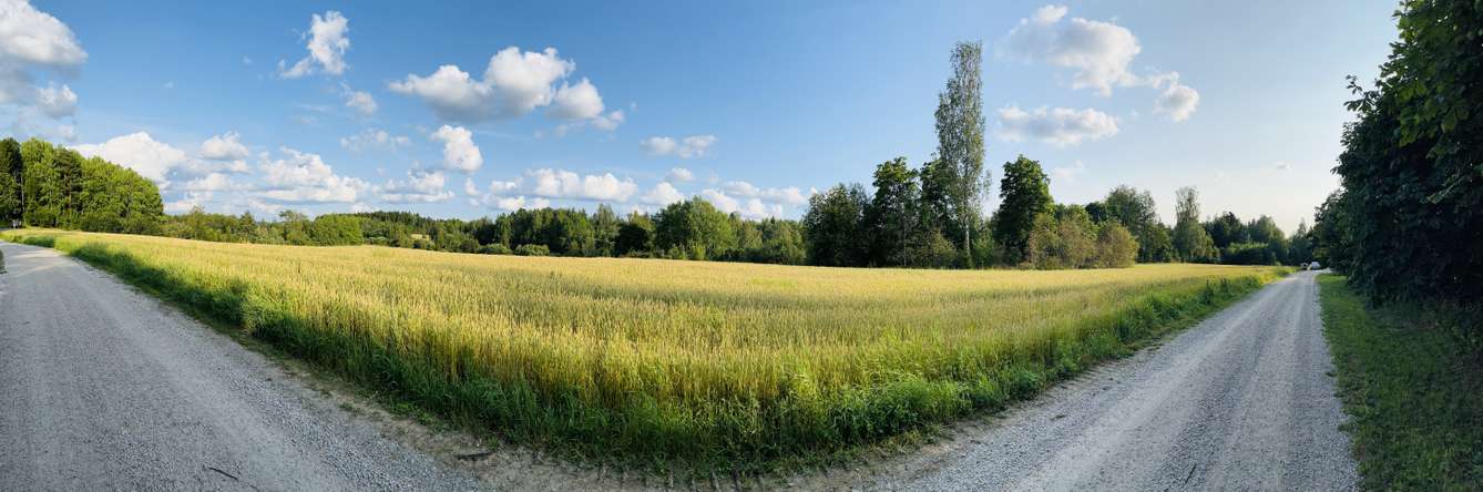 Tontti, 5 000 m², Hirviniemi - Näkymä 3