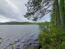 Kaavi, Rauvanlampi