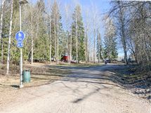 Pihkapuisto suoraan taloa vastapäätä.