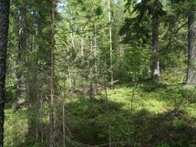 Sonkajärvi, Kiltuanjärvi