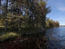 Ylöjärvi, Kuru, Iso-Mustajärvi pohjoinen