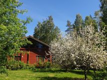 Myyjän ottama kesäkuva