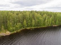 Puumala, Saimaa, Laakko