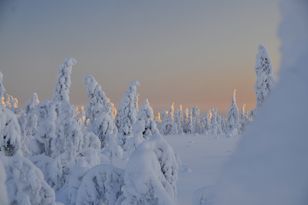 Kohdekuva