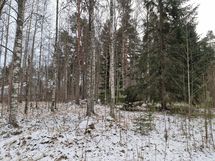 tontti Soinintieltä päin
