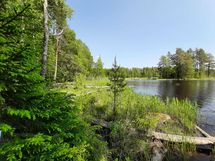 Leppävirta, Konnusvesi, Pirttikoski