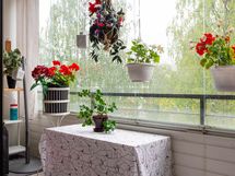 iso ja tilava lasitettu parveke