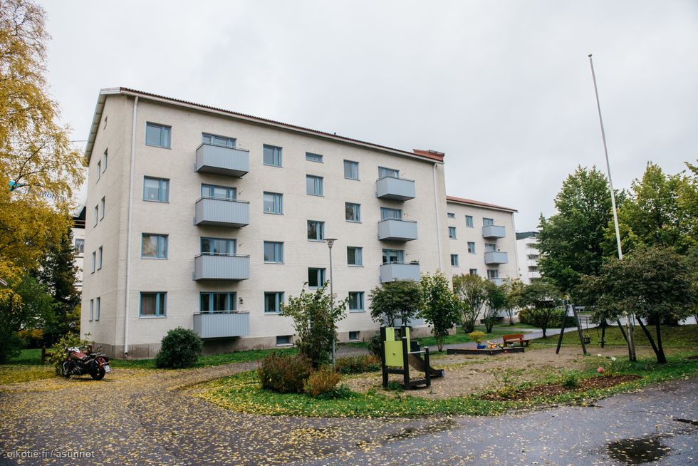 39 5 M Hatsalankatu 36 70110 Kuopio Kerrostalo Yksio Vuokrattavana Oikotie 15730483