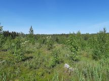 Mikkeli, Kankaanpää